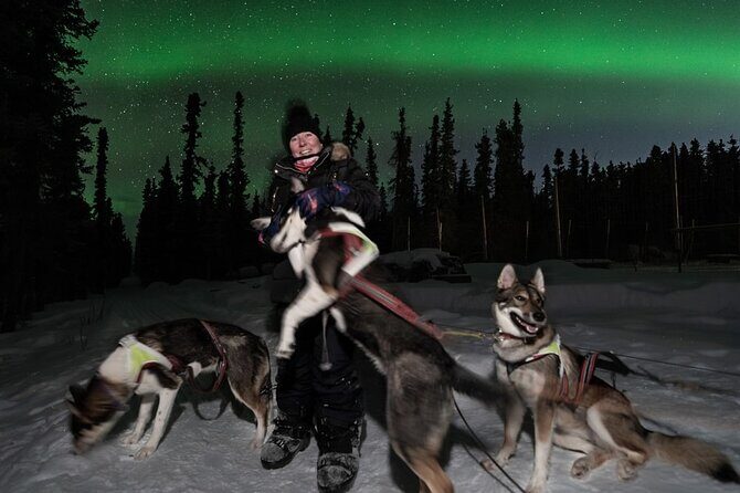 Aurora Activity at Sluice Box Sled Dogs - Who Should Consider This Tour?