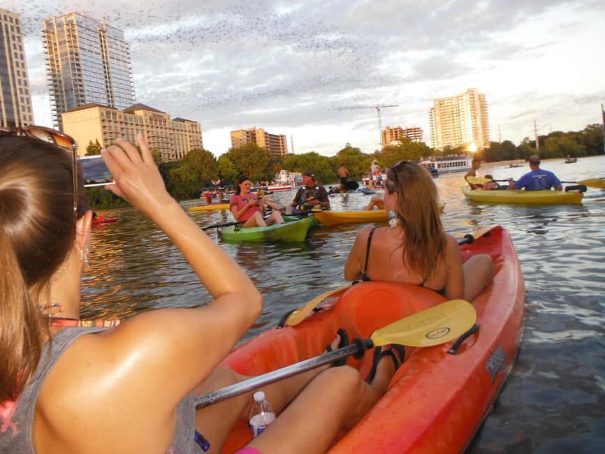 Austin: Guided Bat-Watching Kayak Tour - The Experience: Wildlife, Views, and Education
