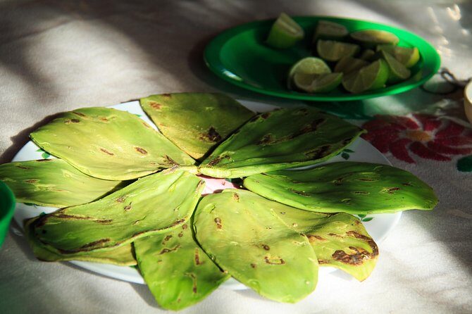 Authentic Rural Mexican Experience Adventure - Exploring the Itinerary: What You Can Expect