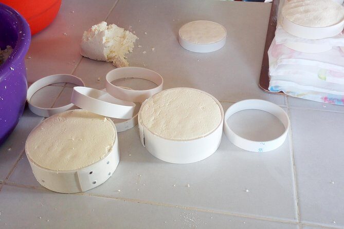 Baby sea turtles camp - Practical Details: Logistics, Timing, and Group Size