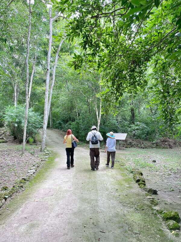 Bacalar: Calakmul daytour ruins and walk in the jungle.. - The Sum Up
