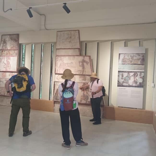 Bacalar: Calakmul ruins tour jungle and the bat volcano.. - Wildlife and Jungle Walks