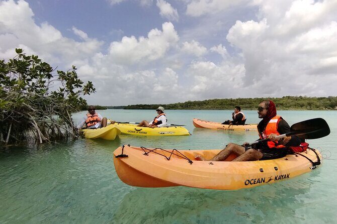 Bacalar Lagoon & Kayak Tour in Club Marmol from Playa del Carmen - Final Thoughts: Is This Tour Worth It?