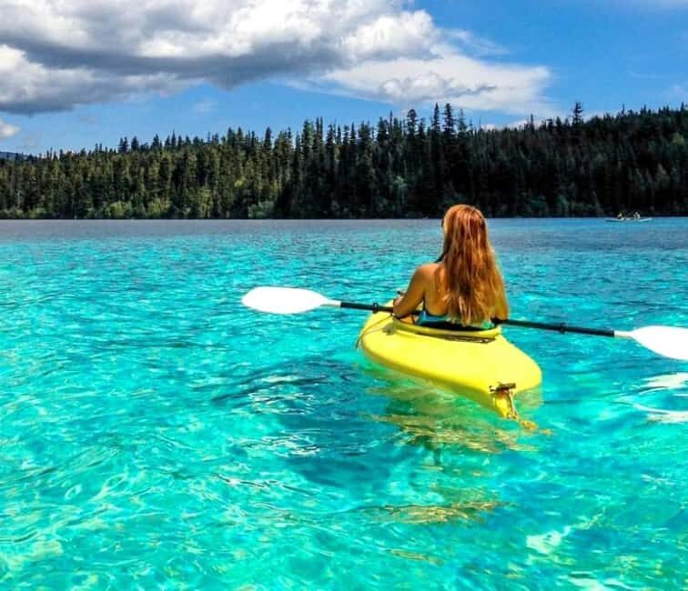 Banff/Calgary/Canmore: Crowfoot Glacier and 5 Lakes Tour - Who Is This Tour Best For?