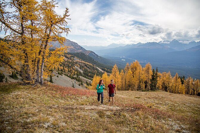 Banff Canmore Private Adventure Moraine Lake and Lake Louise Tour - Who Will Love This Tour?
