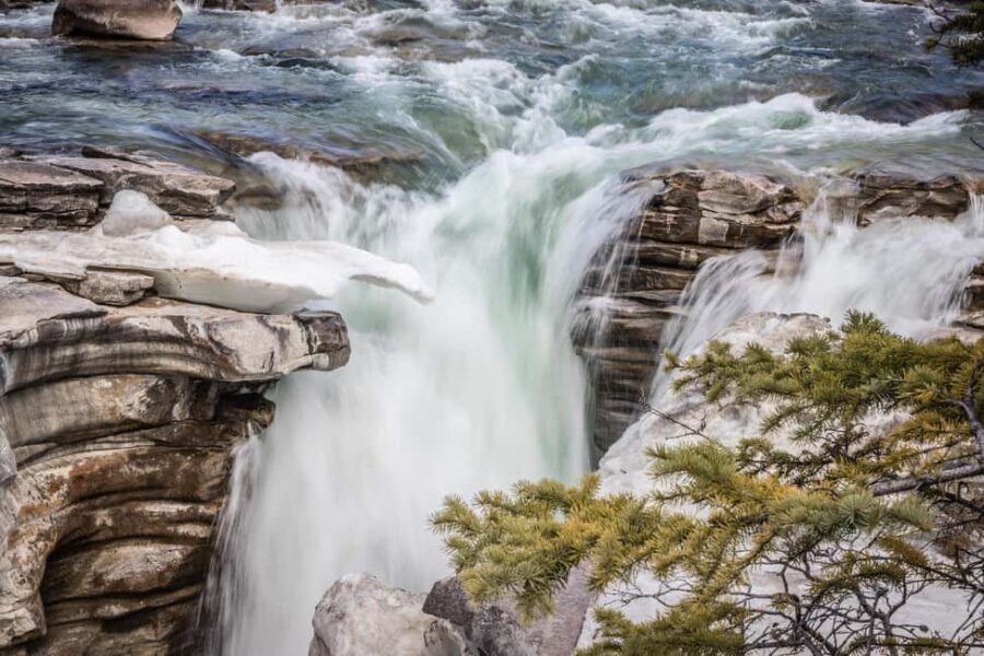 Banff: Explore Banff & Jasper National Parks (4-Days) - Practical Considerations and Tips