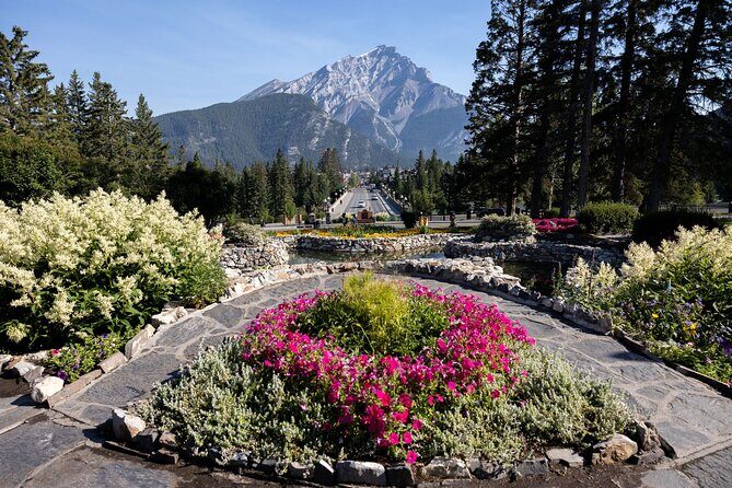 BANFF Medicinal and Edible Plants Nature Walk - 2 Hours - Why This Tour Is a Good Deal
