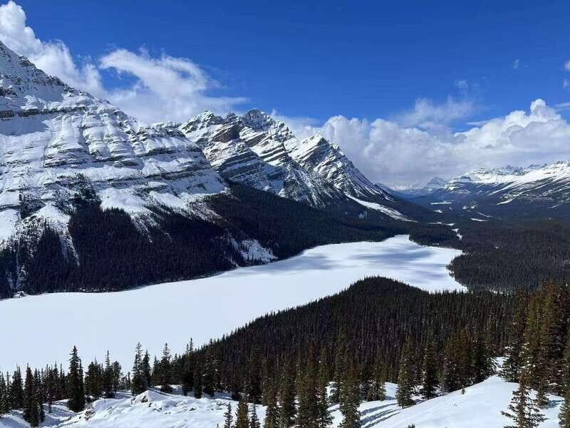 Banff National Park: Lake Louise & Upper Hot Springs Tour - The Experience of Hot Springs and Scenic Views