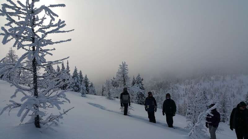 Banff National Park: Sunshine Meadows Snowshoeing Experience - Authentic Experiences and Insights from Travelers