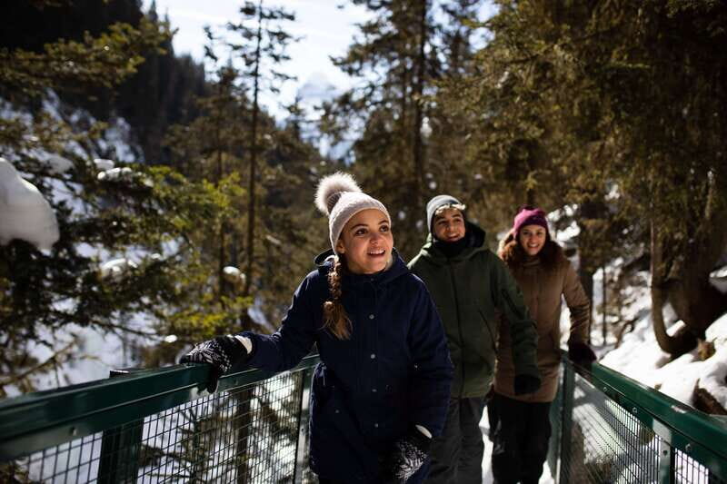 Banff: Premium Johnston Canyon Frozen Falls Guided Adventure - Itinerary Breakdown: What to Expect