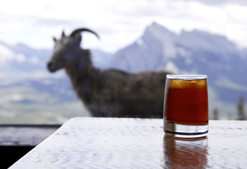 Banff: Sightseeing Chairlift Ride High Above Banff - Key Points
