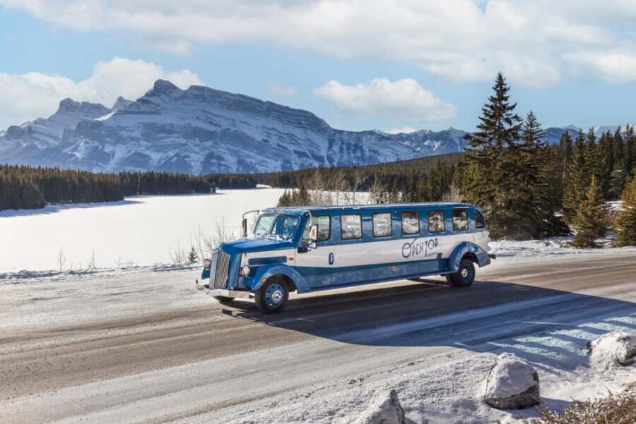 Banff: Winter Tour with Dinner & Nightrise at Banff Gondola - The Guides and Guest Experience