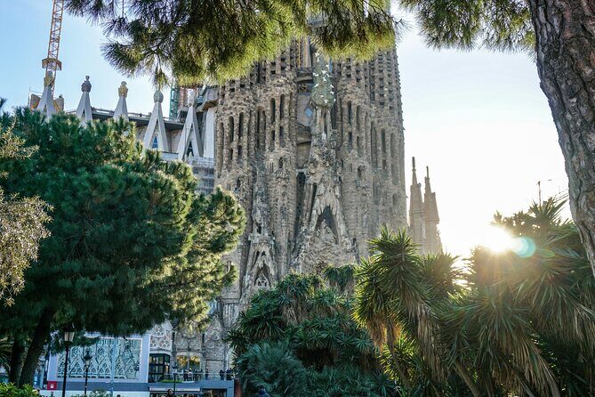 Barcelona: Guided City Tour by Local Transport - What Travelers Can Expect