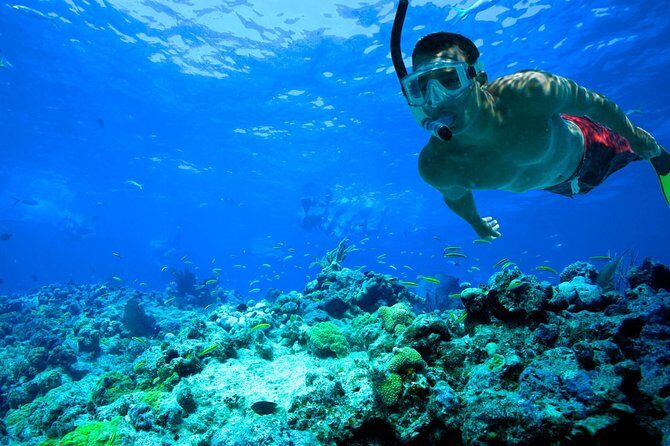 Basic Snorkel Experience In Cancun - Practical Details
