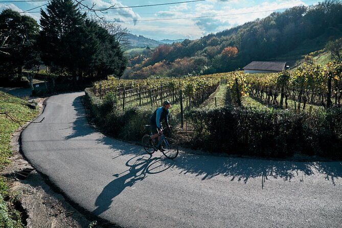 Basque Coast Road Bike Tour - Final Thoughts