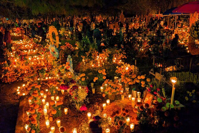 Bastards of Mexico: Unfiltered Tour of the Historic Center - Final Thoughts: Who Will Love This Tour?