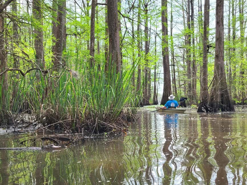 Baton Rouge: Kayak Tour Through the Historic Atchafalaya - Who will love this tour?