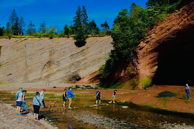 Bay Of Fundy Guided Tour - Practical Aspects and Considerations