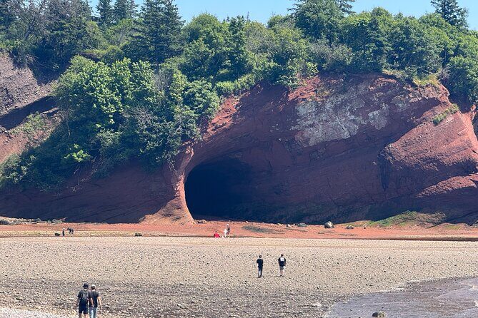 Bay of Fundy Tour Saint John NB - What It Means for You: The Value of the Experience