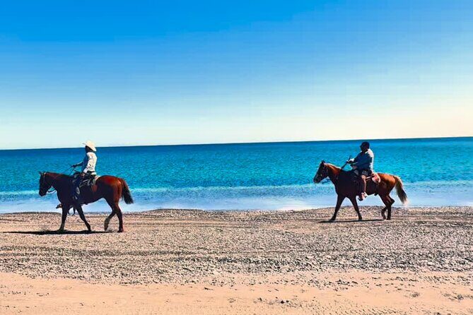 Beach and Desert Scenic Horseback Ride in Baja California Sur - Who Would Enjoy This Tour