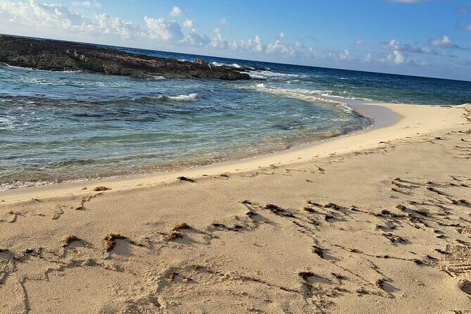 Beach day in Cozumel with roundtrip transportation - What Real Travelers Say