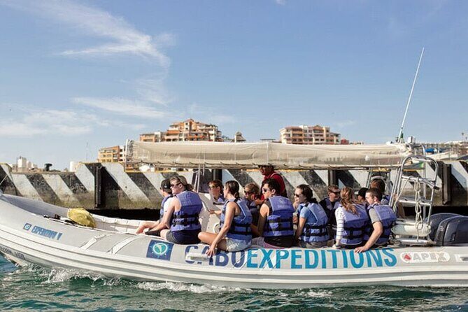 Beach Hopper, Amazing Snorkel Experience At Los Cabos! - The Experience for Different Types of Travelers