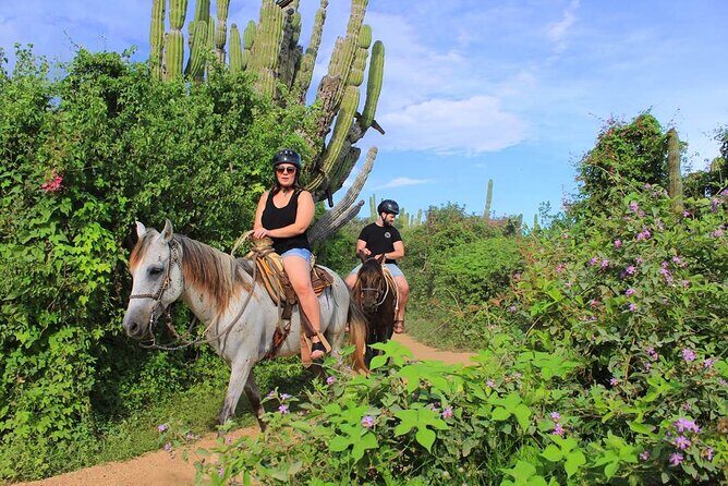 Beach Horseback Riding in Los Cabos - Final Thoughts