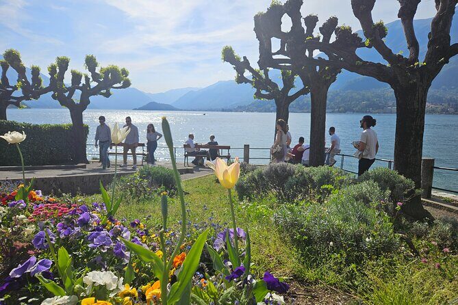 Bellagio & Varenna Full-day Tour on Lake Como - Transportation & Logistics