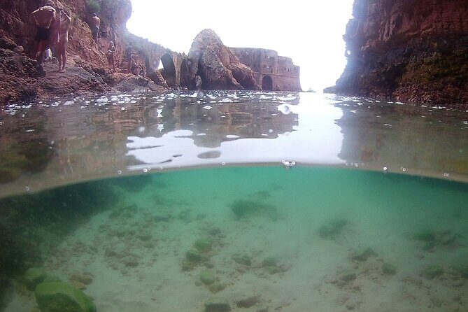 Berlengas Island Catamaran Tour + Snorkeling - Cost and Value