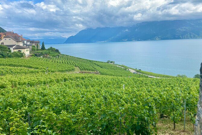 Bern Private Tour - Gruyères , Cheese, and Lavaux's UNESCO Wine - What Makes This Tour Special?
