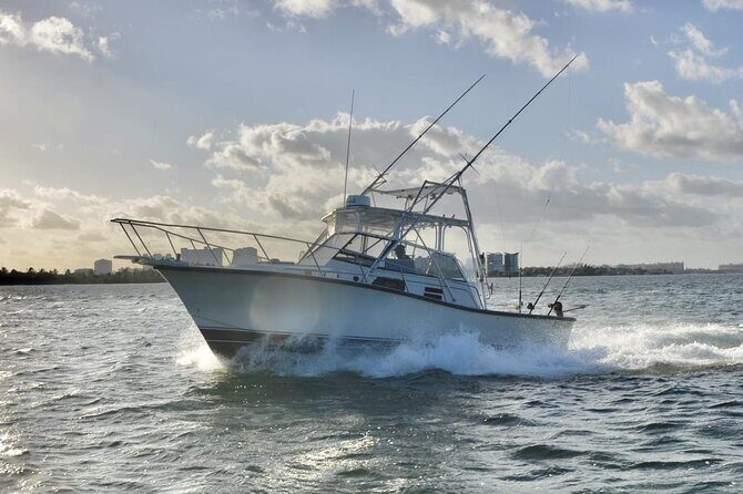 Bertram 35ft boat sport fishing cancun up to 6 passengers - The Boat & Crew
