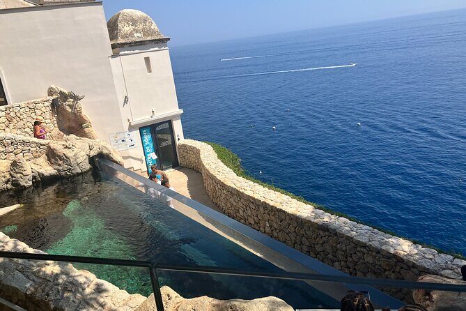 Best of Monaco Private Tour and Outlet Shopping Experience - Transportation and Comfort