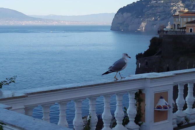 Best Of Naples Shore Tour In 1 Day: Pompei & Amalfi Coast & Limoncello Tasting - What’s Included and What’s Not