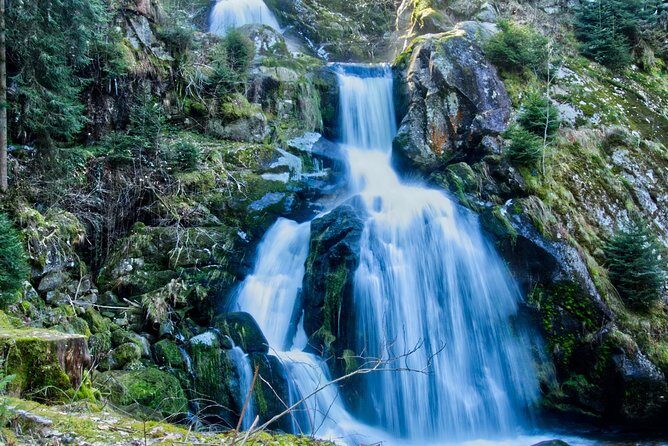 Best of the Black Forest and Rhinefalls from Zurich - Exploring the Itinerary in Detail