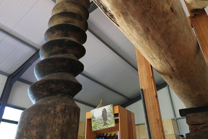 Bestselling Wine Tour, Tasting Experience & Skywalk 4x4 Adventure - Authentic Insights from Reviews