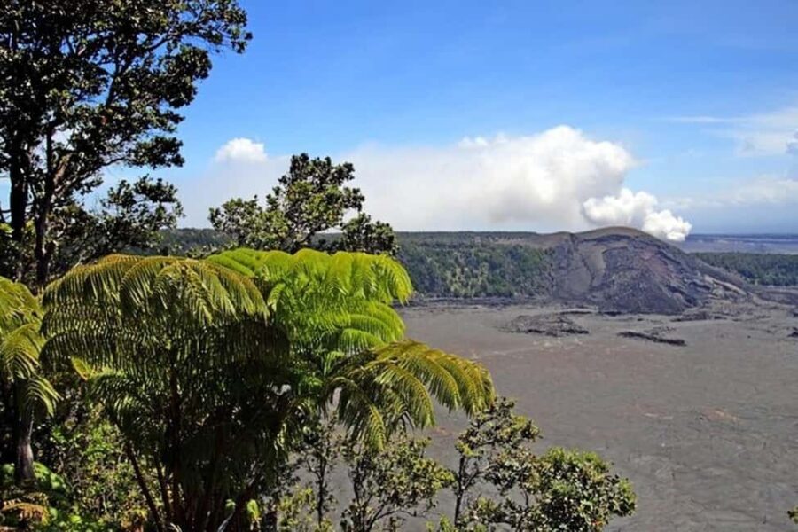 Big Island Hawaii Volcano Day tour from Oahu and Hotel PU - Authentic Encounters and Traveler Insights
