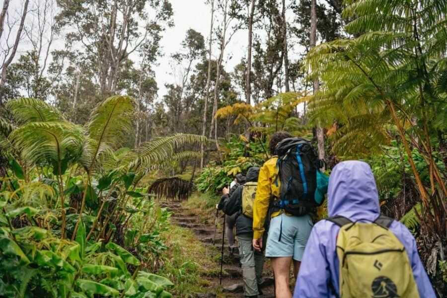 Big Island: Hawai'i Volcanoes National Park Guided Hike - The Itinerary Breakdown: From Rainforest to Lava