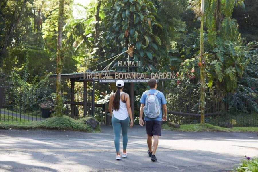 Big Island: Waterfall Tour with Swimming & Botanical Garden - What You Can Expect from the Experience