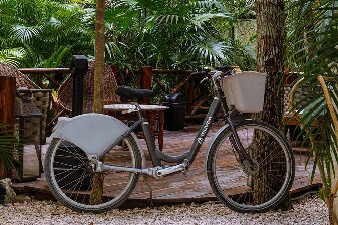 Bike Rental in Tulum downtown - Who Should Consider This Bike Rental?