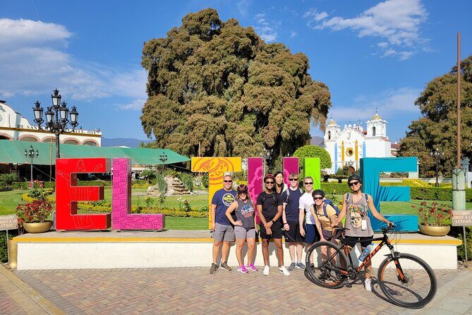 Bike Ride to the Largest Tree in the World - The Value of This Tour