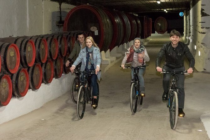 Biking a Guinness Book Winery - Who Will Love This Tour?