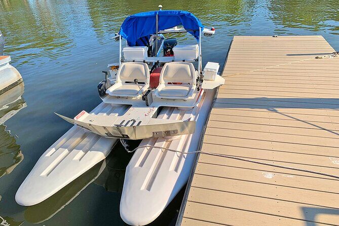 Bioluminescence Night Craigcat Tours - Who Will Love This Tour?