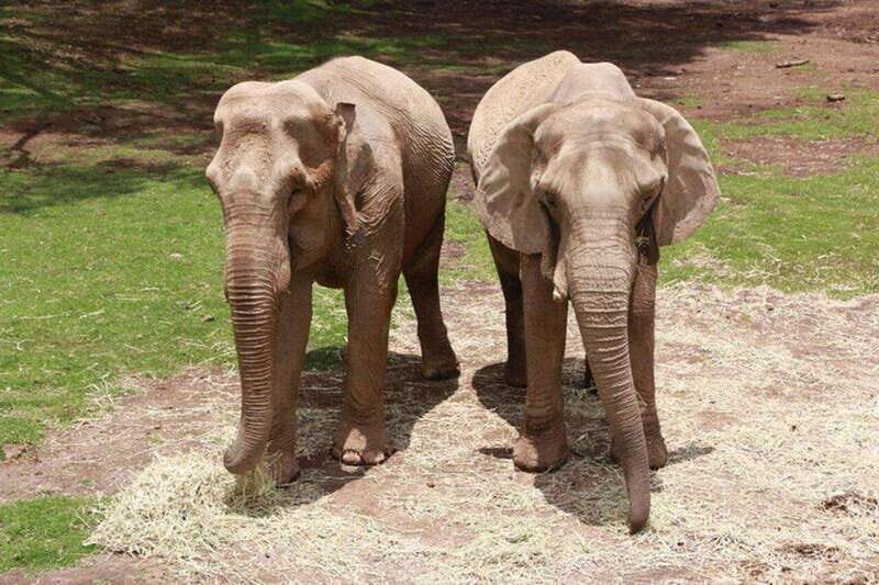 Bioparque Estrella Safari Experience Ticket - Who Will Love This Experience?