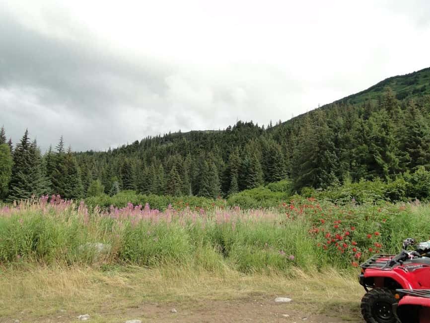 Bird Creek: Chugach State Park ATV Nature Tour & Hike - A Deep Dive into the Experience