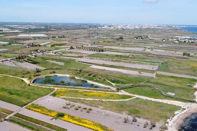 Birdwatching Boccadoro: the wildlife of the wetland - The Itinerary and Experience Breakdown