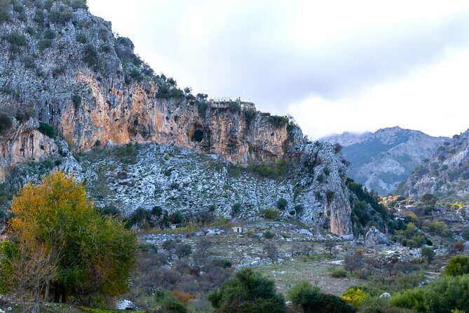 Birdwatching in Ronda and Grazalema - Who Will Love This Tour?