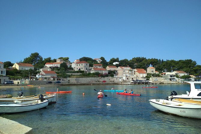 Bits of History - Half day kayak Tour with Wine delight - The Value and Overall Impression