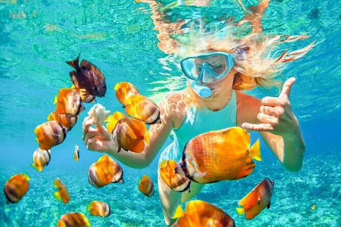 Blue Lagoon Snorkling activities - Who Will Love This Tour?