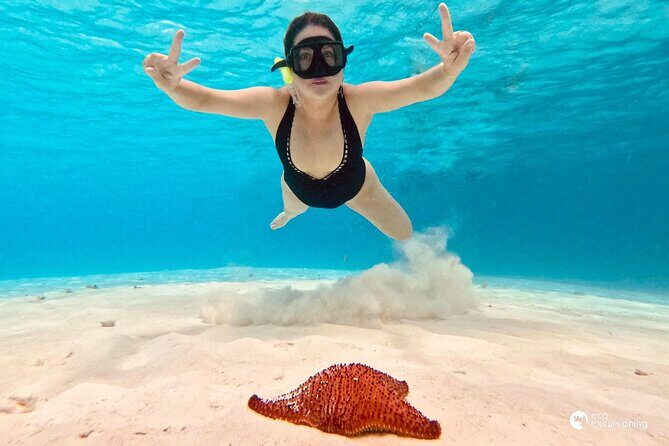 Boat Tour to Heaven in Cozumel with Ceviche - Who Will Love This Tour?