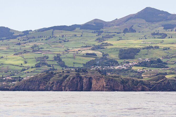 Boat Trip along the North Coast in Capelas - The Sum Up